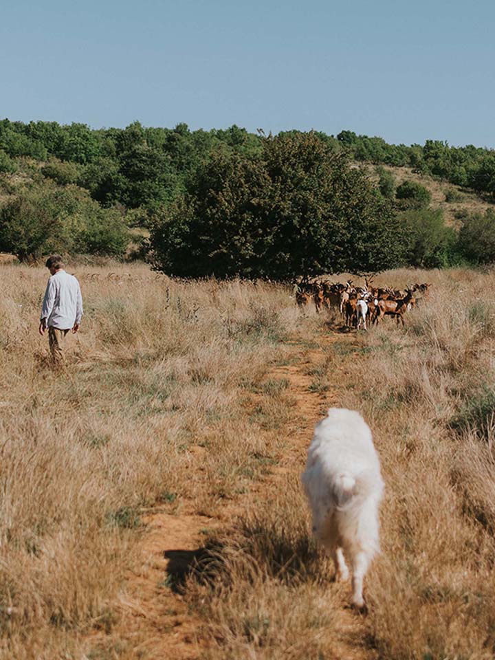WALK the LAND