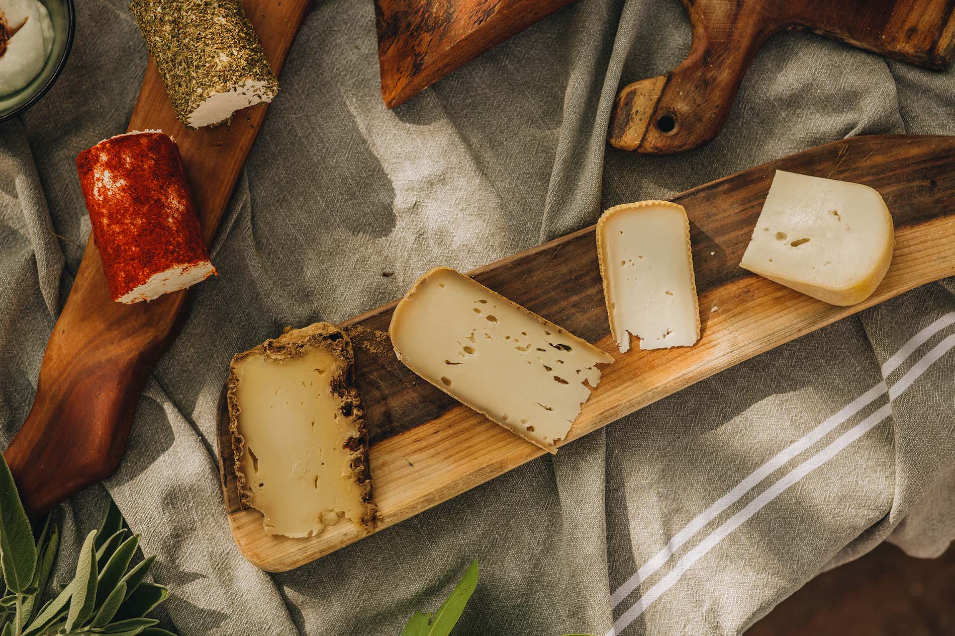 Cheese board set with wine on the farm