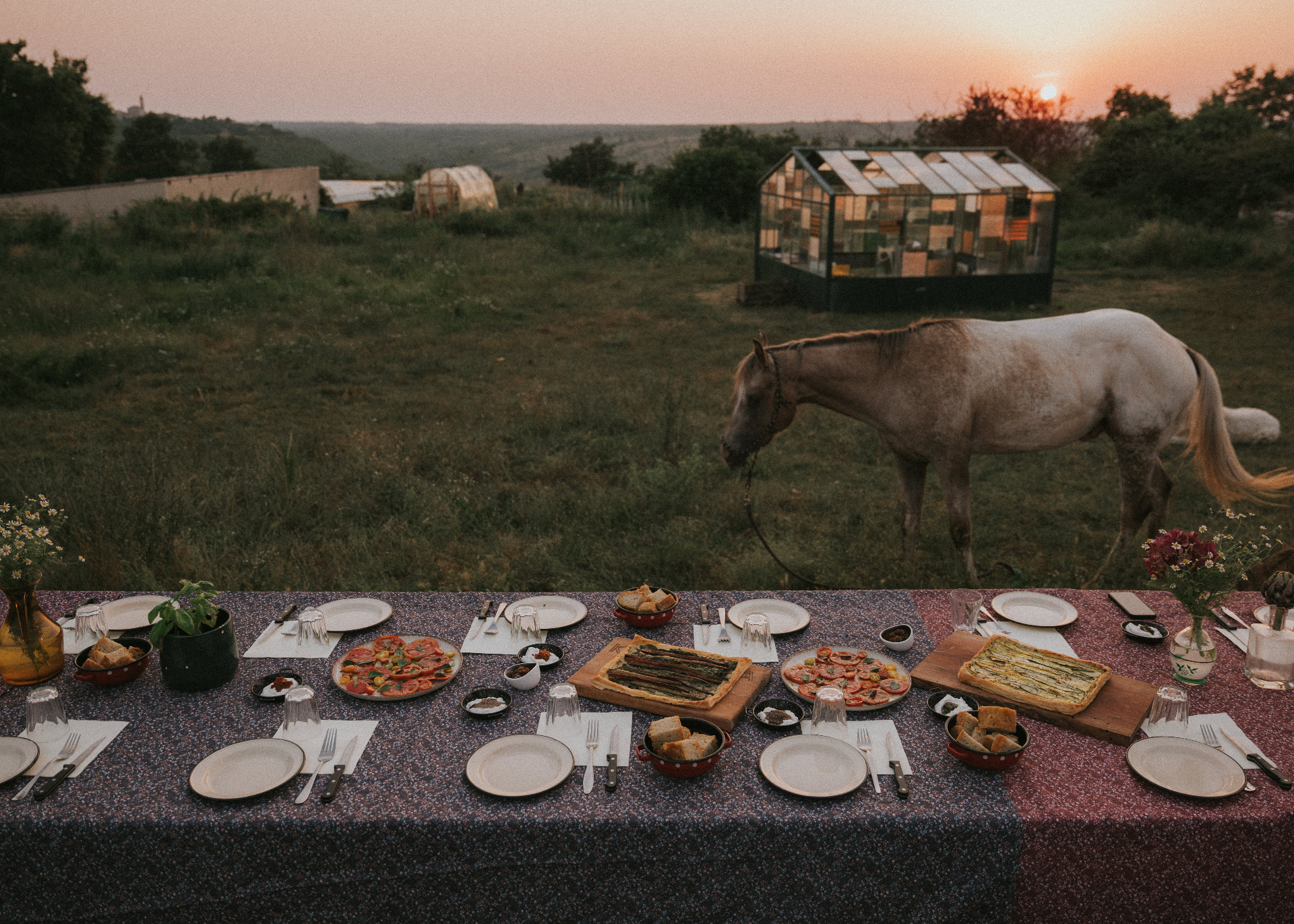 Long table set at sunset with a horse grazing in the Istrian field