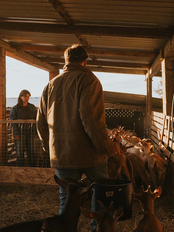 FARM LIFE